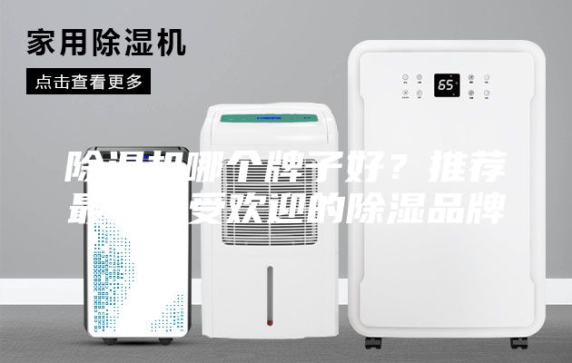 除濕機哪個牌子好？推薦最新最受歡迎的除濕品牌