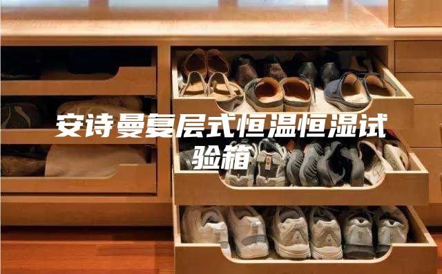 安詩(shī)曼復(fù)層式恒溫恒濕試驗(yàn)箱