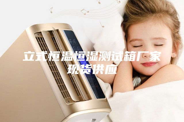 立式恒溫恒濕測試箱廠家現(xiàn)貨供應