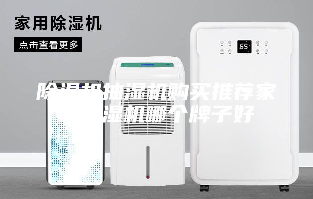 除濕機(jī)抽濕機(jī)購(gòu)買(mǎi)推薦家用除濕機(jī)哪個(gè)牌子好