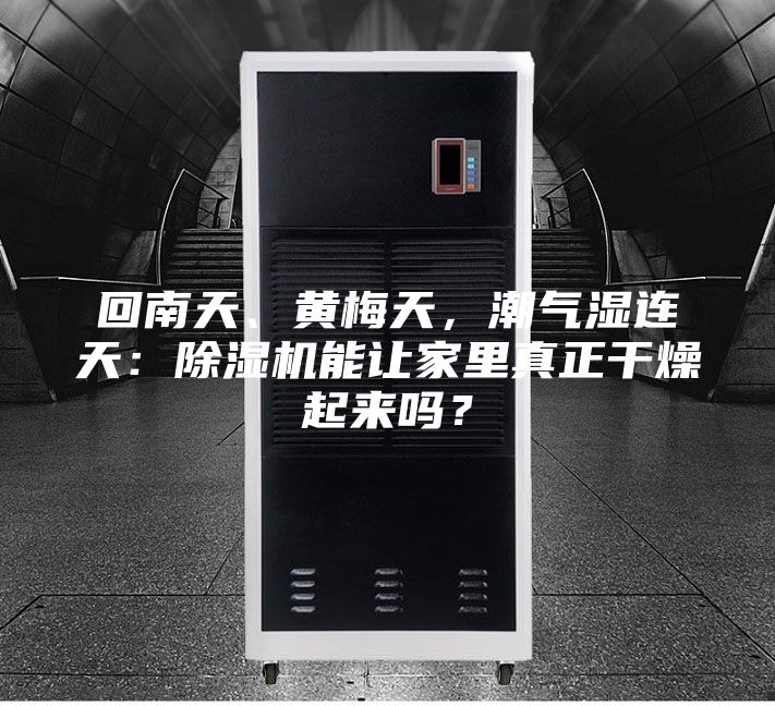 回南天、黃梅天，潮氣濕連天：除濕機(jī)能讓家里真正干燥起來嗎？