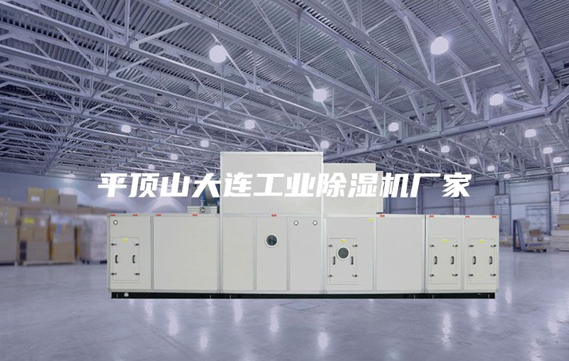 平頂山大連工業(yè)除濕機廠家