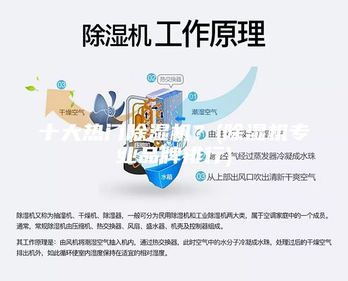 十大熱門除濕機？(除濕機專業(yè)品牌排行)