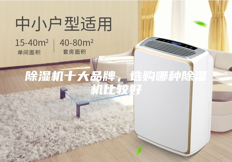 除濕機十大品牌，選購哪種除濕機比較好