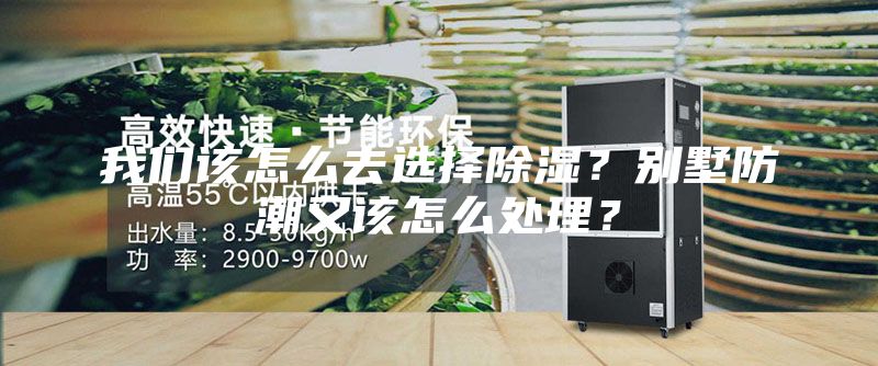 我們該怎么去選擇除濕？別墅防潮又該怎么處理？