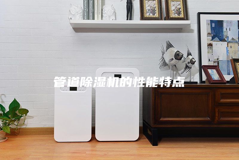 管道除濕機(jī)的性能特點