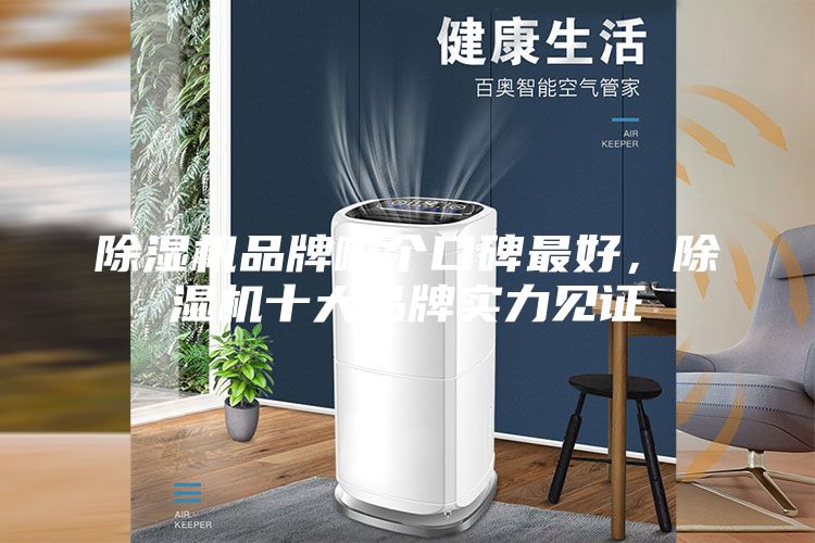 除濕機(jī)品牌哪個(gè)口碑最好，除濕機(jī)十大品牌實(shí)力見證