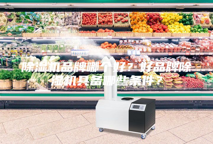 除濕機品牌哪個好？好品牌除濕機具備哪些條件？
