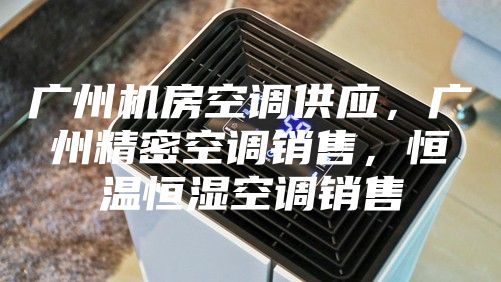 廣州機房空調(diào)供應(yīng)，廣州精密空調(diào)銷售，恒溫恒濕空調(diào)銷售