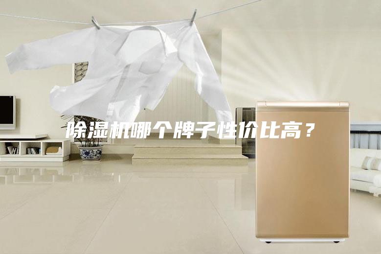 除濕機(jī)哪個(gè)牌子性價(jià)比高？