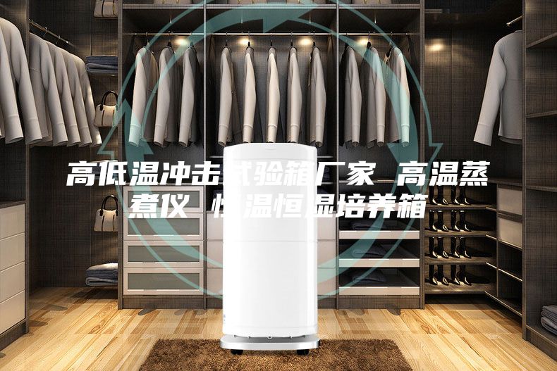 高低溫沖擊試驗箱廠家 高溫蒸煮儀 恒溫恒濕培養(yǎng)箱