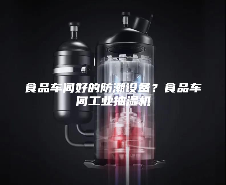 食品車間好的防潮設(shè)備？食品車間工業(yè)抽濕機(jī)