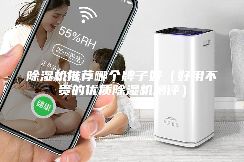 除濕機(jī)推薦哪個牌子好（好用不貴的優(yōu)質(zhì)除濕機(jī)測評）
