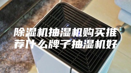 除濕機(jī)抽濕機(jī)購(gòu)買推薦什么牌子抽濕機(jī)好
