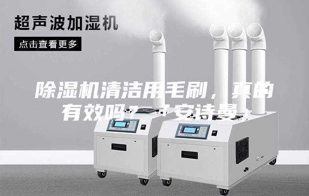 除濕機(jī)清潔用毛刷，真的有效嗎？「安詩(shī)曼」