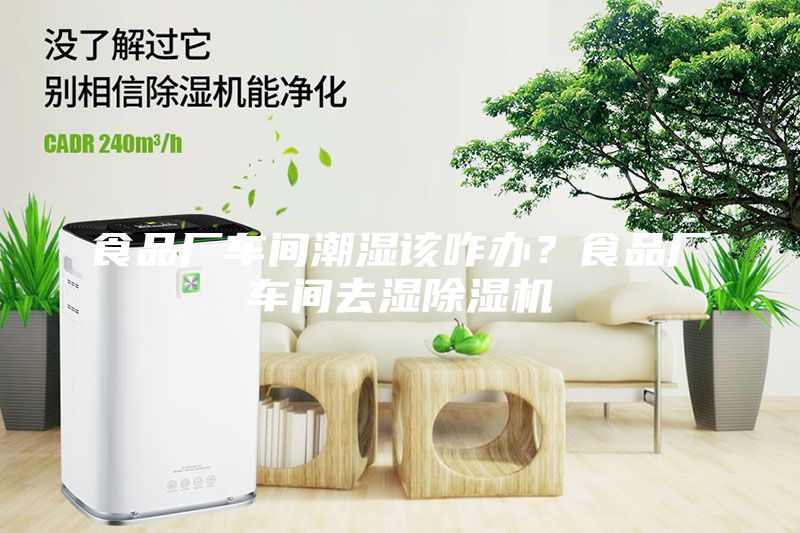 食品廠車間潮濕該咋辦？食品廠車間去濕除濕機(jī)