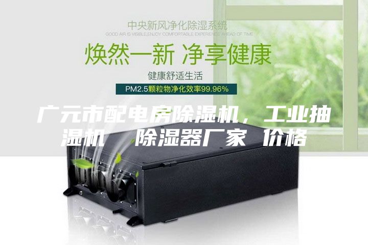 廣元市配電房除濕機，工業(yè)抽濕機  除濕器廠家 價格