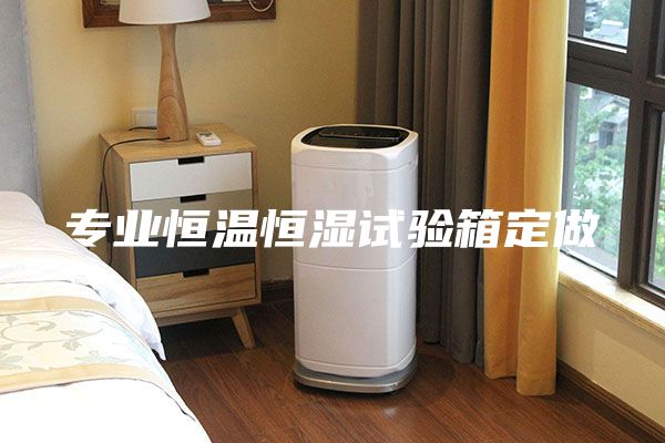 專業(yè)恒溫恒濕試驗(yàn)箱定做
