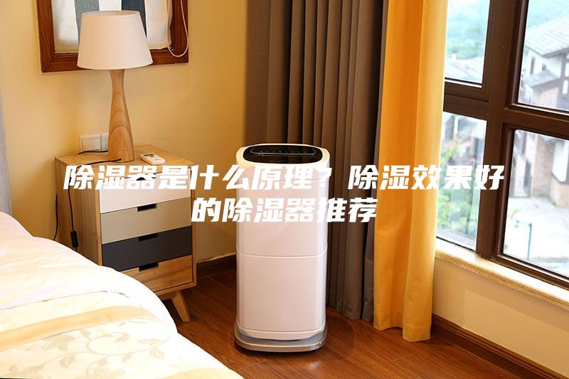 除濕器是什么原理？除濕效果好的除濕器推薦