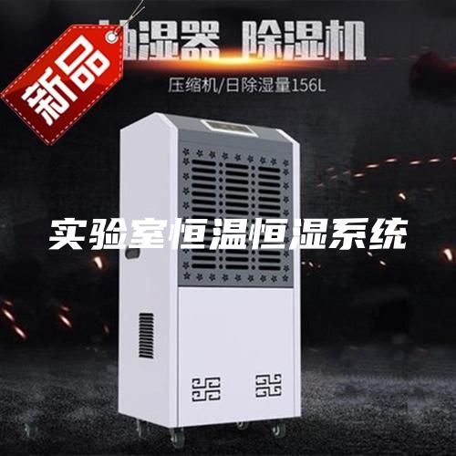 實(shí)驗(yàn)室恒溫恒濕系統(tǒng)
