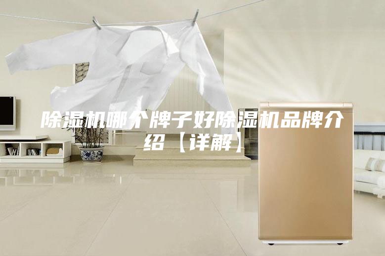 除濕機(jī)哪個(gè)牌子好除濕機(jī)品牌介紹【詳解】