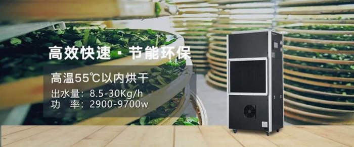 連日陰雨不斷，家庭防潮要做好