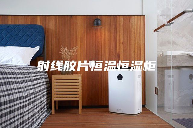 射線膠片恒溫恒濕柜